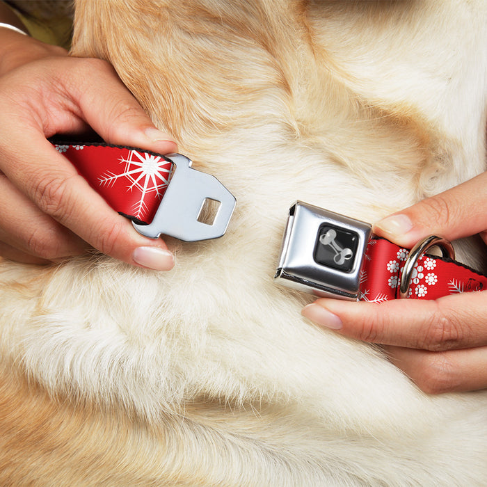 Dog Bone Seatbelt Buckle Collar - Snowflakes Red/White Seatbelt Buckle Collars Buckle-Down   