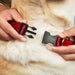 Plastic Clip Collar - SNOW WHITE Poses/Apple Halftone Reds/Black Plastic Clip Collars Disney   