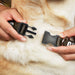 Buckle-Down Plastic Buckle Dog Collar - ONE OF US HAS HAIRY LEGS/Fur Tan/White Plastic Clip Collars Buckle-Down   