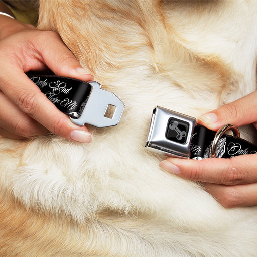 Dog Bone Black/Silver Seatbelt Buckle Collar - ONLY GOD CAN JUDGE ME Script/Praying Hands Black/White Seatbelt Buckle Collars Buckle-Down   