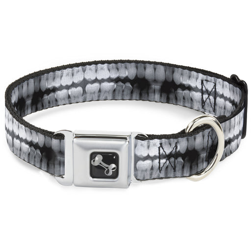 Dog Bone Seatbelt Buckle Collar - Dental X-Rays Black/White Seatbelt Buckle Collars Buckle-Down   