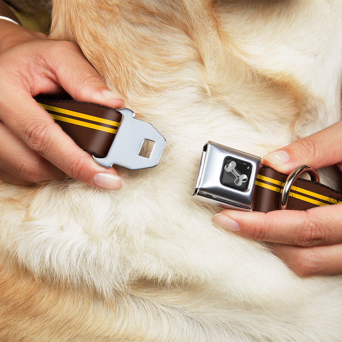 Dog Bone Seatbelt Buckle Collar - Racing Stripe Brown/Gold Seatbelt Buckle Collars Buckle-Down   