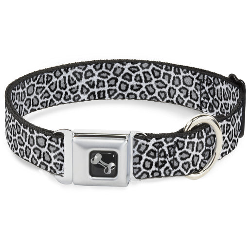 Dog Bone Seatbelt Buckle Collar - Leopard White Seatbelt Buckle Collars Buckle-Down   