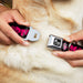 Dog Bone Seatbelt Buckle Collar - IN YOUR DREAMS! Black/White/Pink Seatbelt Buckle Collars Buckle-Down   