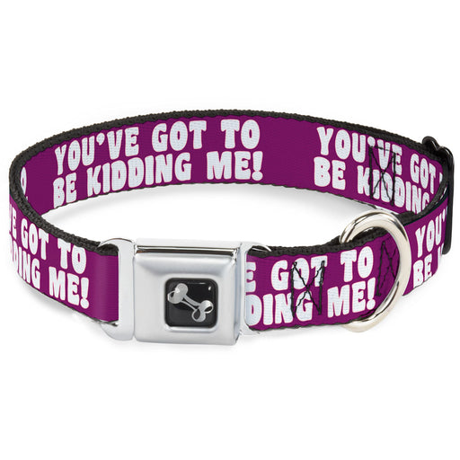 Dog Bone Seatbelt Buckle Collar - YOU'VE GOT TO BE KIDDING ME! Purple/White Seatbelt Buckle Collars Buckle-Down   
