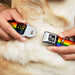Dog Bone Seatbelt Buckle Collar - Flag American Pride Rainbow/Black Seatbelt Buckle Collars Buckle-Down   