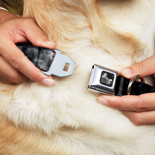 Dog Bone Seatbelt Buckle Collar - Spinal X-Ray Black/White Seatbelt Buckle Collars Buckle-Down   