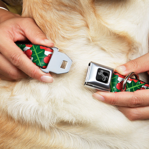 Dog Bone Black/Silver Seatbelt Buckle Collar - Snowy Holly Stripe Reds/White/Greens Seatbelt Buckle Collars Buckle-Down   