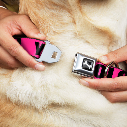 Dog Bone Seatbelt Buckle Collar - YOLO Pink/Black Seatbelt Buckle Collars Buckle-Down   