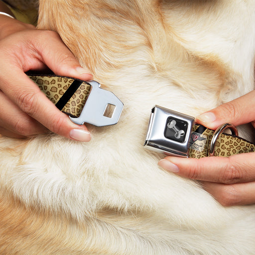 Dog Bone Seatbelt Buckle Collar - Leopard Brown/Black Slash Seatbelt Buckle Collars Buckle-Down   