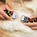 Dog Bone Seatbelt Buckle Collar - Checker Black/Multi Neon Seatbelt Buckle Collars Buckle-Down   