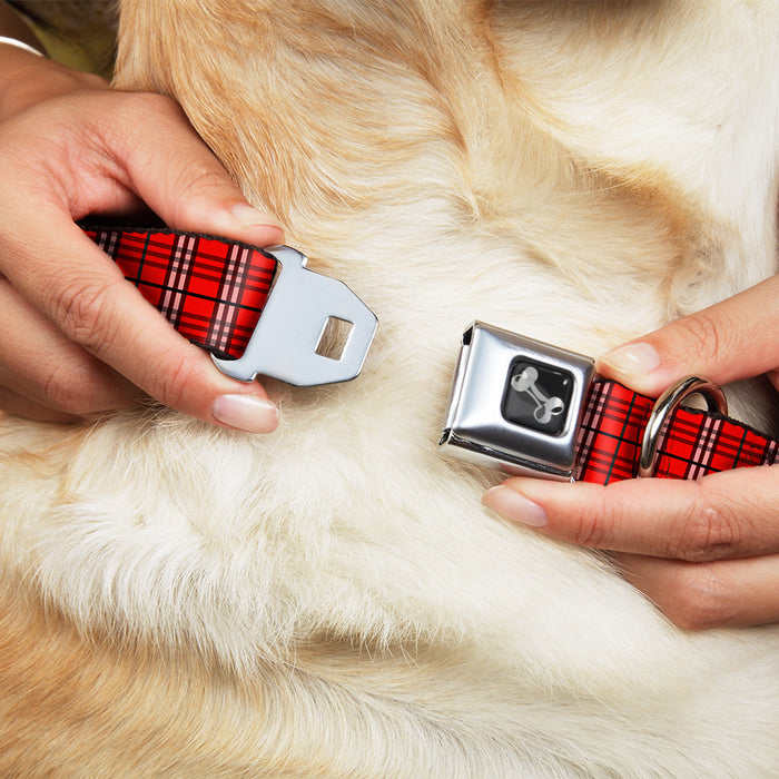 Dog Bone Seatbelt Buckle Collar - Plaid Red Seatbelt Buckle Collars Buckle-Down   