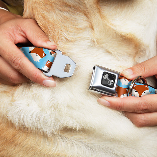 Dog Bone Seatbelt Buckle Collar - Fox Face Scattered Sky Blue Seatbelt Buckle Collars Buckle-Down   