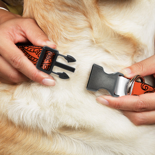 Plastic Clip Collar - Bandana/Skulls Orange/Black Plastic Clip Collars Buckle-Down   