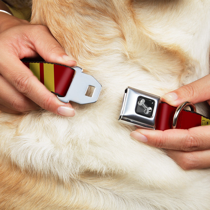 Dog Bone Seatbelt Buckle Collar - Hash Mark Stripe Double Maroon/Gold Seatbelt Buckle Collars Buckle-Down   
