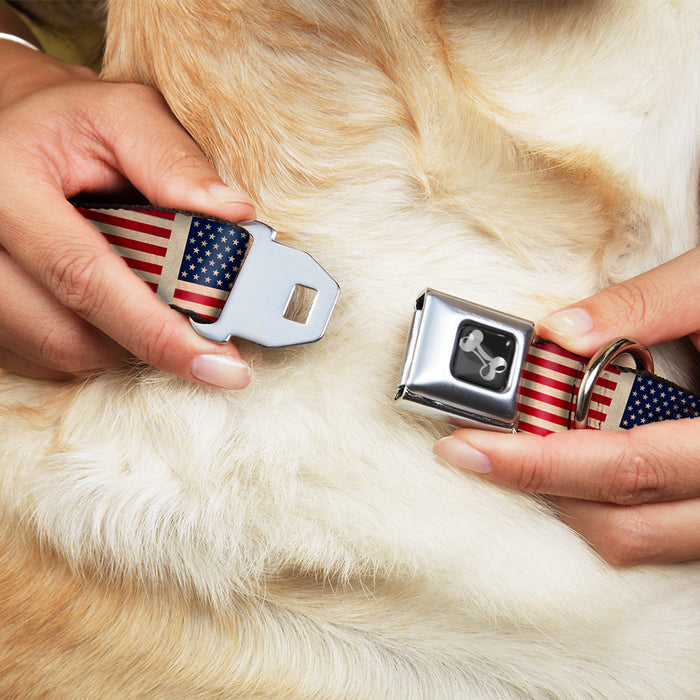 Dog Bone Seatbelt Buckle Collar - American Flag Weathered Color Repeat Seatbelt Buckle Collars Buckle-Down   