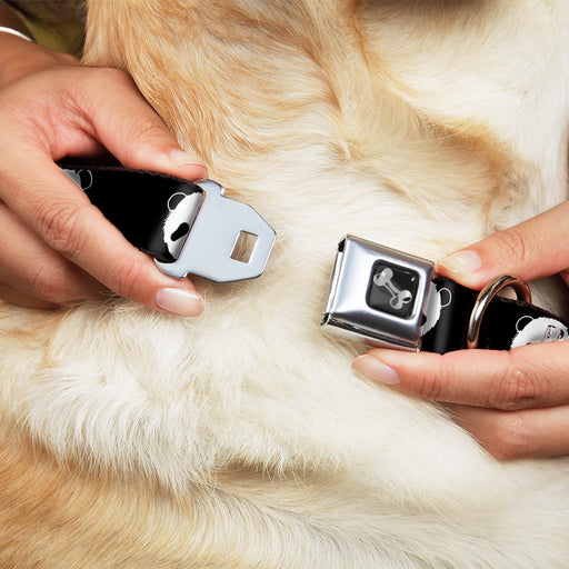 Dog Bone Seatbelt Buckle Collar - Panda Bear Repeat Seatbelt Buckle Collars Buckle-Down   