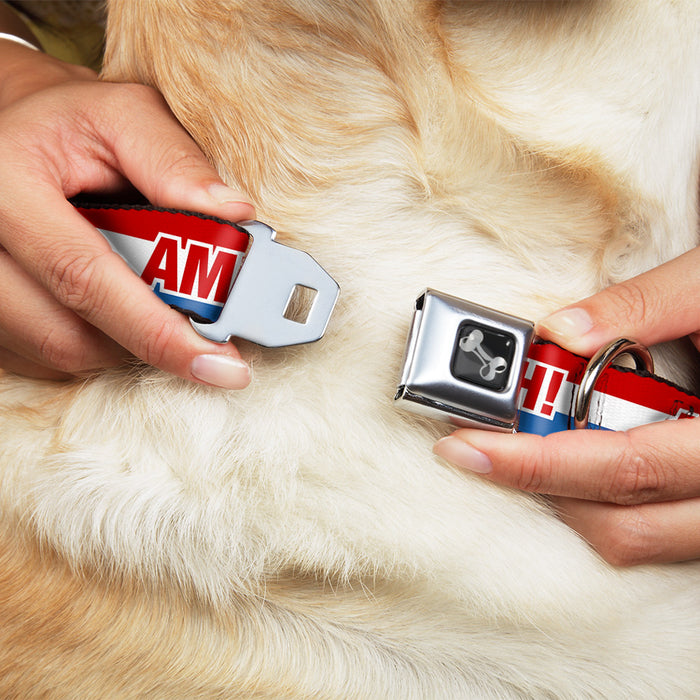 Dog Bone Seatbelt Buckle Collar - AMERICA, FUCK YEA Red/White/Blue Seatbelt Buckle Collars Buckle-Down   