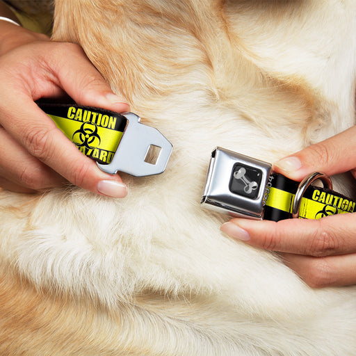 Dog Bone Seatbelt Buckle Collar - CAUTION BIOHAZARD Black/Yellow Seatbelt Buckle Collars Buckle-Down   