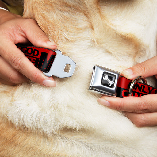 Dog Bone Seatbelt Buckle Collar - ONLY GOD CAN JUDGE ME/Stripe Red/Black/Red Seatbelt Buckle Collars Buckle-Down   