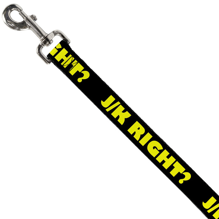 Dog Leash - J/K RIGHT? Black/Yellow Dog Leashes Buckle-Down   