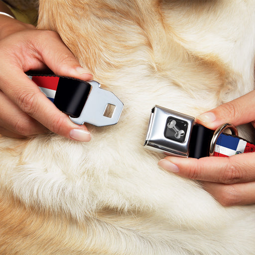 Dog Bone Seatbelt Buckle Collar - Dominican Republic Flags/Black Blocks Seatbelt Buckle Collars Buckle-Down   