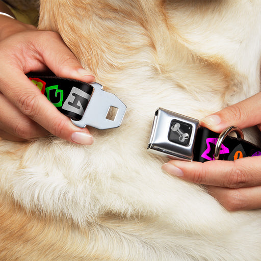 Dog Bone Seatbelt Buckle Collar - Punk You Black/Full Color Seatbelt Buckle Collars Buckle-Down   