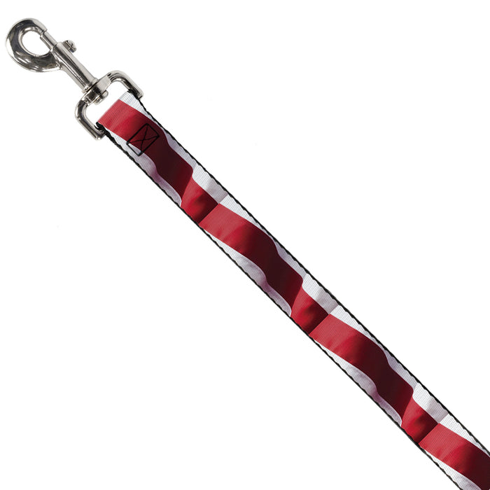 Dog Leash - American Flag Vivid Stripes CLOSE-UP Red/White Dog Leashes Buckle-Down   