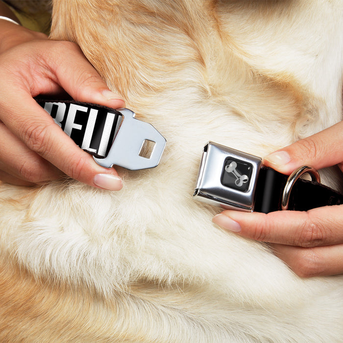 Dog Bone Seatbelt Buckle Collar - Bigfoot Silhouette I BELIEVE Black/Gray/White Seatbelt Buckle Collars Buckle-Down   