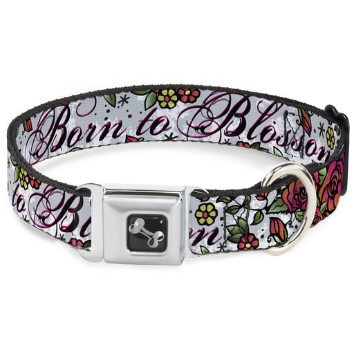 Dog Bone Seatbelt Buckle Collar - Born to Blossom White Seatbelt Buckle Collars Buckle-Down   