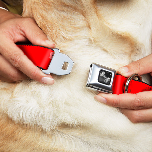 Dog Bone Seatbelt Buckle Collar - STEEZ Flat Red/White Seatbelt Buckle Collars Buckle-Down   