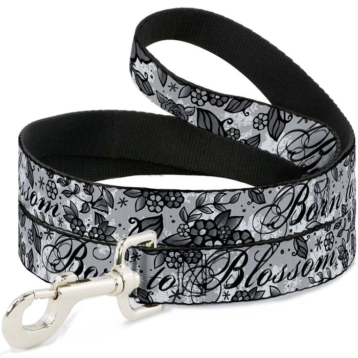 Dog Leash - Born to Blossom Black/White Dog Leashes Buckle-Down   