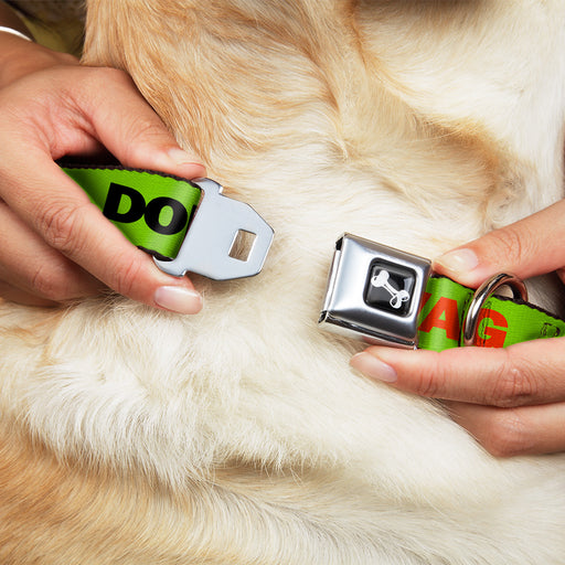 Dog Bone Seatbelt Buckle Collar - DON'T SWEAT MY SWAG Neon Green/Black/Red Seatbelt Buckle Collars Buckle-Down   