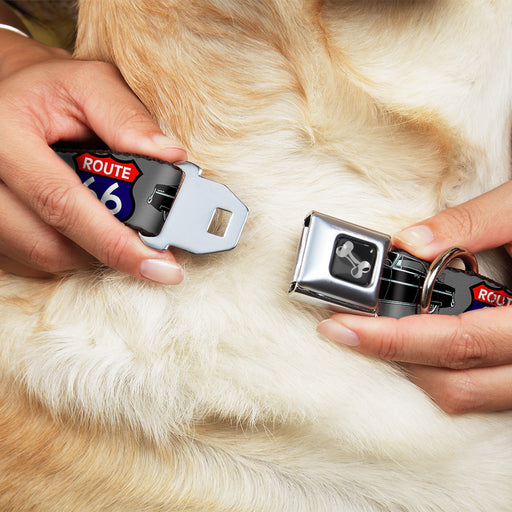 Dog Bone Seatbelt Buckle Collar - Route 66 Classics Gray Seatbelt Buckle Collars Buckle-Down   