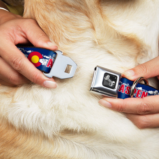 Dog Bone Seatbelt Buckle Collar - Colorado ASPEN Flag/Snowy Mountains Weathered Blue/White/Red/Yellows Seatbelt Buckle Collars Buckle-Down   