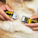 Batman Full Color Black Yellow Seatbelt Buckle Collar - Bat Signal-3 Yellow/Black/Yellow Seatbelt Buckle Collars DC Comics   