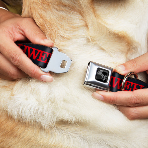 Dog Bone Black/Silver Seatbelt Buckle Collar - YAHWEH Text Navy Blue/Red Seatbelt Buckle Collars Buckle-Down   