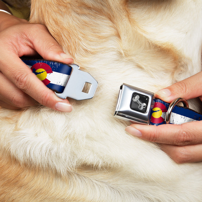 Dog Bone Seatbelt Buckle Collar - Colorado Flag/Fisher Weathered Seatbelt Buckle Collars Buckle-Down   