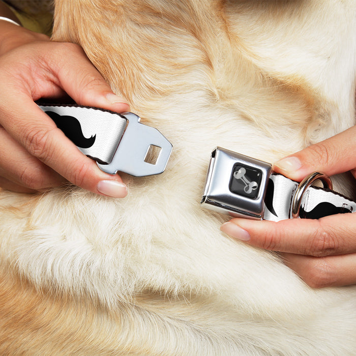 Dog Bone Seatbelt Buckle Collar - Mustaches Straight White/Black Seatbelt Buckle Collars Buckle-Down   