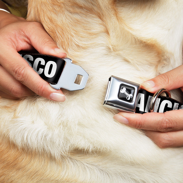 Dog Bone Seatbelt Buckle Collar - I "HEART" SAN FRANCISCO Black/White/Red Seatbelt Buckle Collars Buckle-Down   