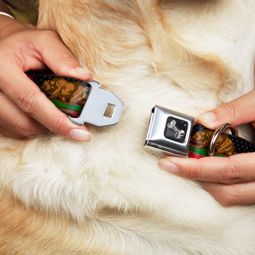 Dog Bone Seatbelt Buckle Collar - Cali Bear/Star/Stripe/US Flag Stretch Seatbelt Buckle Collars Buckle-Down   