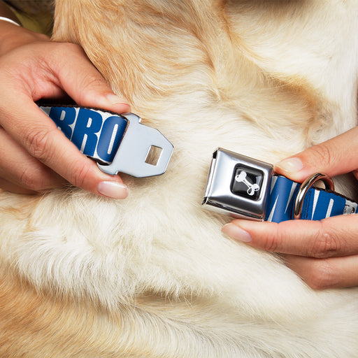 Dog Bone Seatbelt Buckle Collar - YOU MAD BRO White/Royal Seatbelt Buckle Collars Buckle-Down   