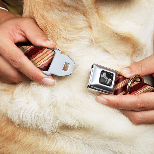 Dog Bone Seatbelt Buckle Collar - Bacon Slices Maroon Seatbelt Buckle Collars Buckle-Down   