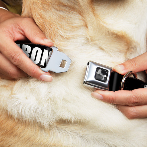 Dog Bone Seatbelt Buckle Collar - New York's Five Burroughs Bold Black/White Seatbelt Buckle Collars Buckle-Down   