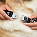 Dog Bone Black/Silver Seatbelt Buckle Collar - SEND IT Black/White Seatbelt Buckle Collars Buckle-Down   