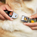 Dog & Cat Pose Full Color Seatbelt Buckle Collar - CATDOG Characters Running Seatbelt Buckle Collars Nickelodeon   
