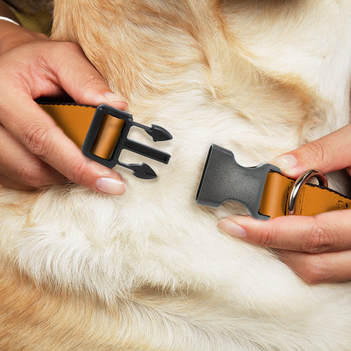 Plastic Clip Collar - Orange Plastic Clip Collars Buckle-Down   